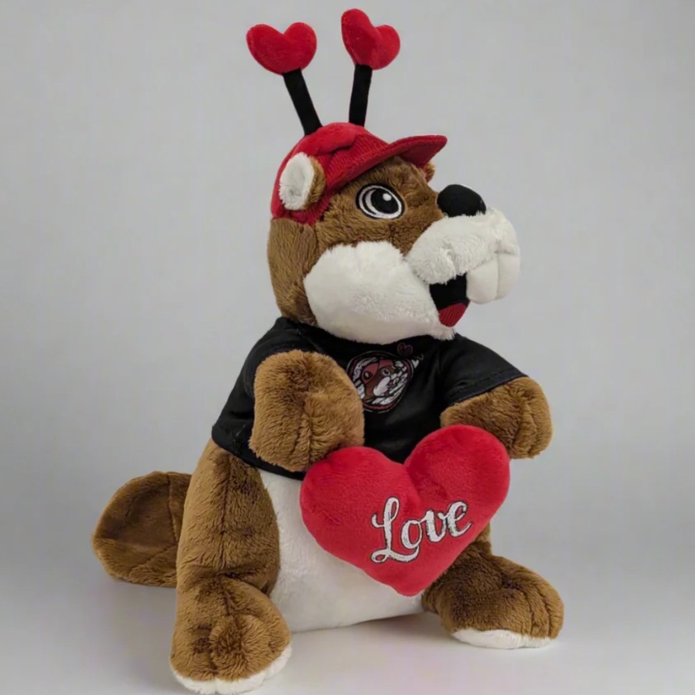 ❤️💕Buc-ee’s | “Love is in the Air” Valentine’s Day Plush Beaver 12 inch